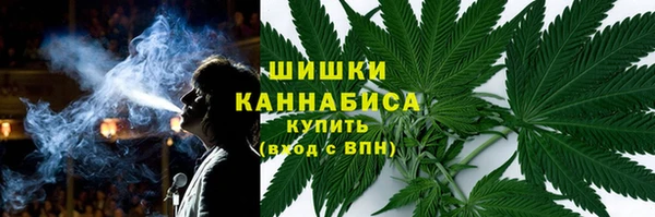 дурь Белокуриха