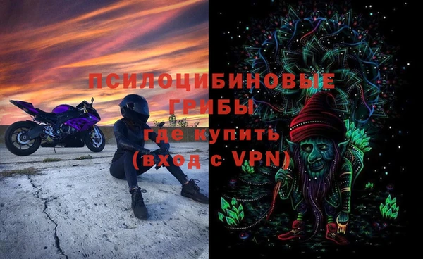 PSILOCYBIN Беломорск