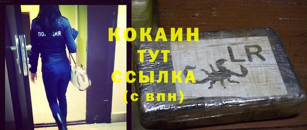 PSILOCYBIN Беломорск