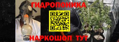соль ск Усть-Илимск