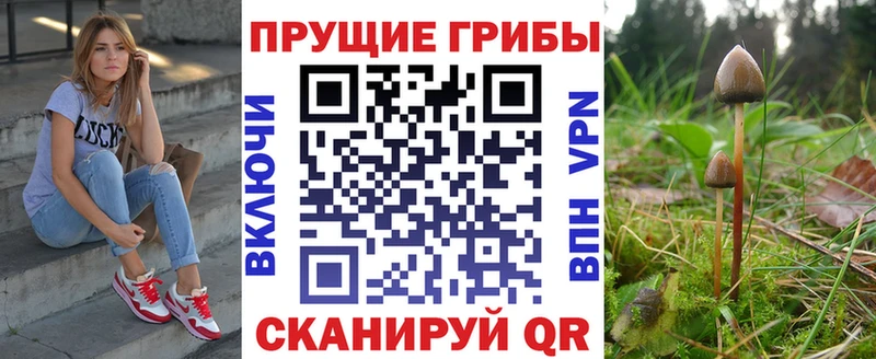 Галлюциногенные грибы MAGIC MUSHROOMS  Луховицы 