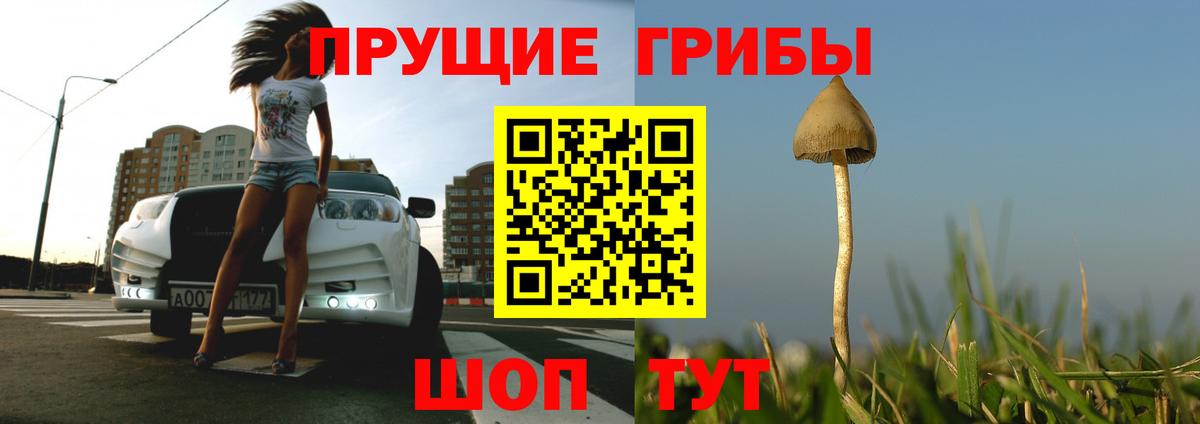 Галлюциногенные грибы GOLDEN TEACHER  Вход с VPN  Галлюциногенные грибы прущие грибы  Луховицы 